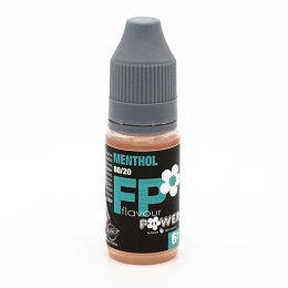 Flavour Power E LIQUIDE<br>10 ML Classic menthe