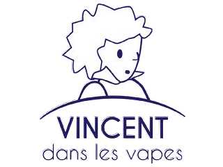 Vdlv diy vdlv aromes 10 ml pasteque